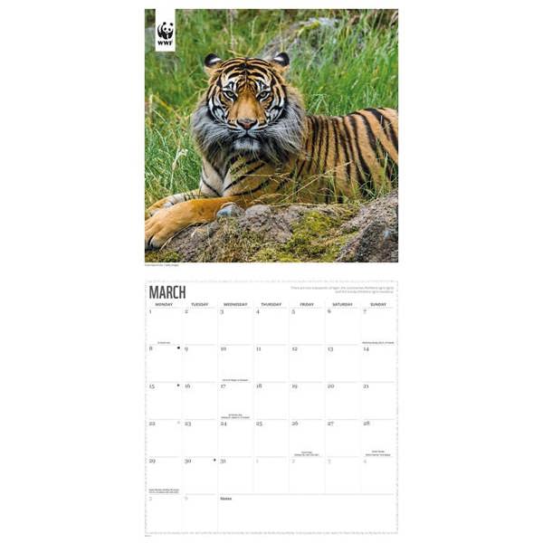 WWF, Tigers Calendar 2027, Wall Calendars, Month To View, Animals, Gift