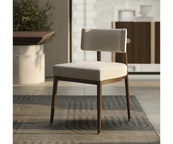 Contemporary Frank dining chair showcasing modern design and brass accents.