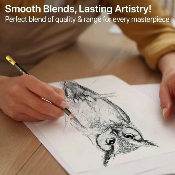 Drawlish Drawing Pencils for Artists - 25 Grades (14B to 10H) Sketching Pencils Set