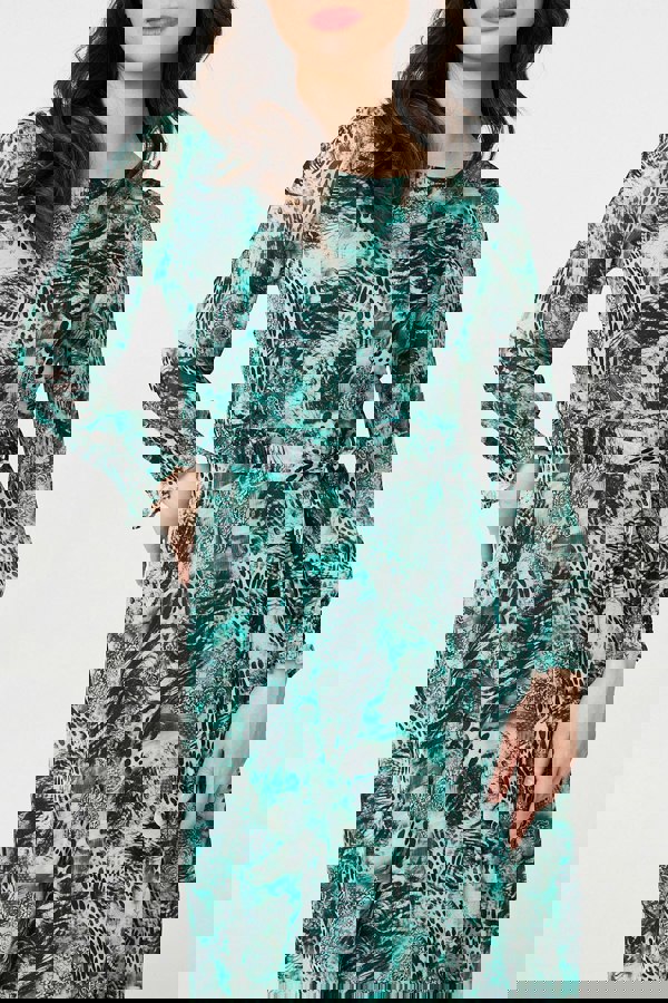 Green | Animal Print Semi Sheer Maxi Dress