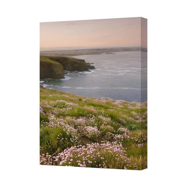 Benjamin Tate Design Coastal Cliff Flower Field Canvas Print With Deep Wood Frame