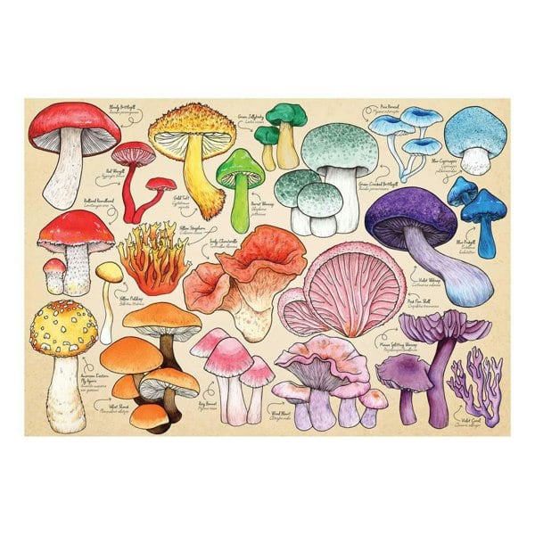 The House of Puzzles Mushroom Mania 1000 Piece Jigsaw Puzzle