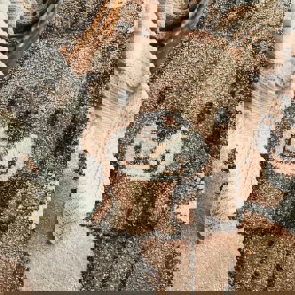 Kids Round Lion Rug, Heat-insulating, Cream Colour, Easy to CLean |THE RUGS