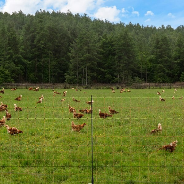 T-mech Electric Poultry Netting - 50m