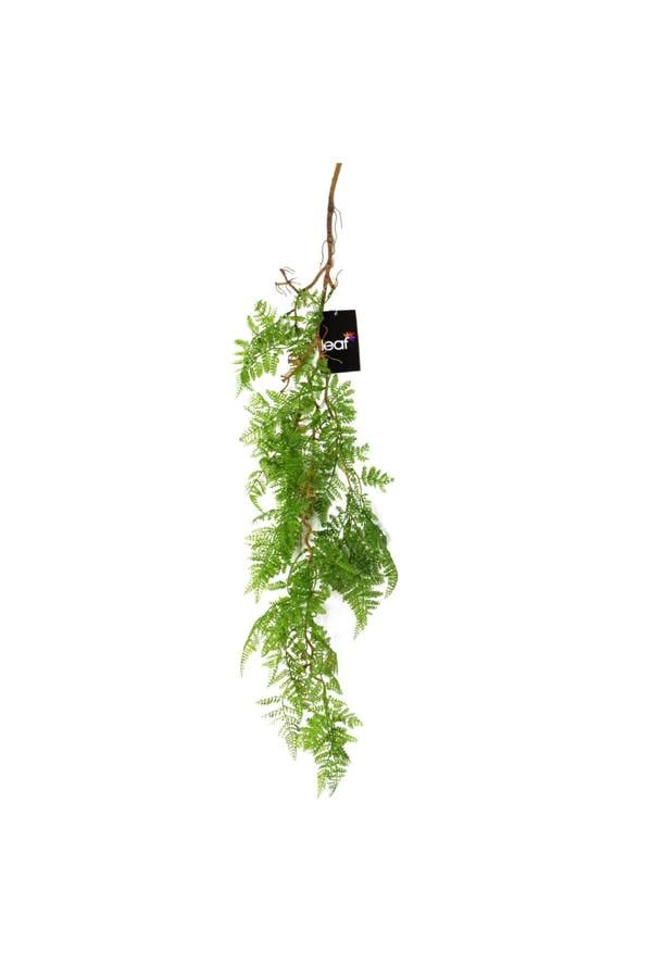 Dyzi Artificial Hanging Maidenhair Fern Dark Green 100cm