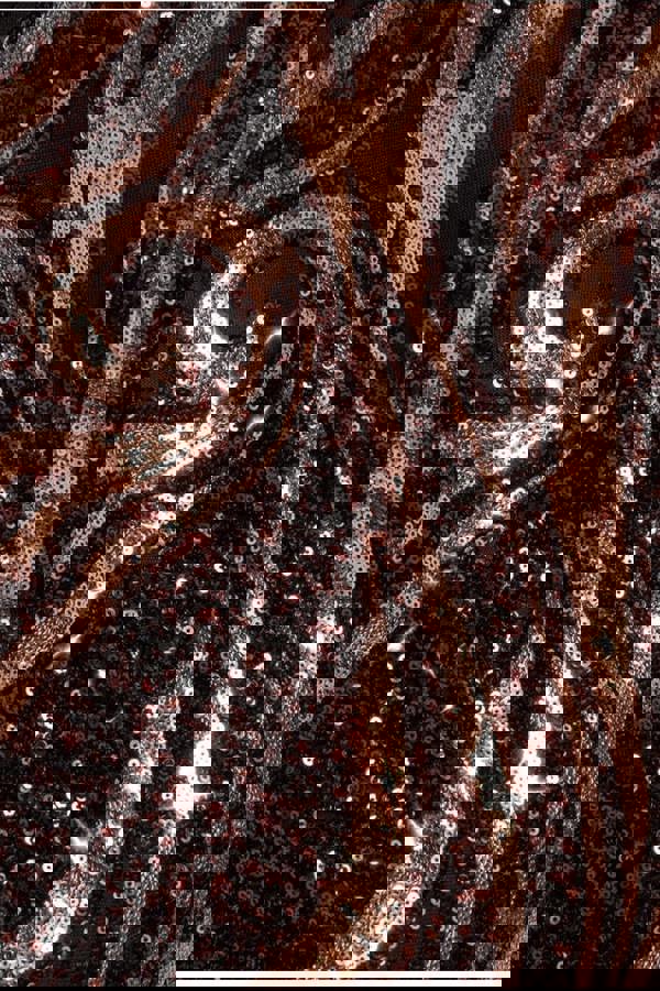 Strapless Multi Sequin Maxi Dress - Bronze DR4566