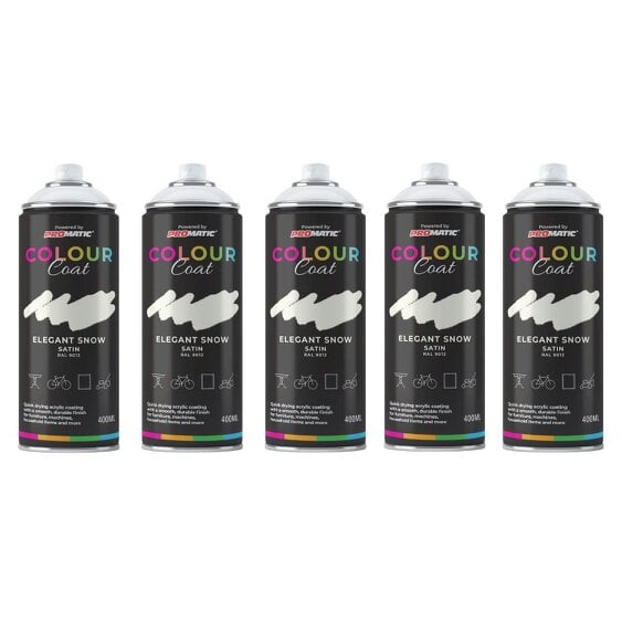 Colour Coat 5X Elegant Snow RAL 9012 Satin Spray Paint 400ml