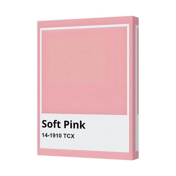 Benjamin Tate Design Soft Pink Canvas 14-1910 TCX Color Swatch Canvas-9481