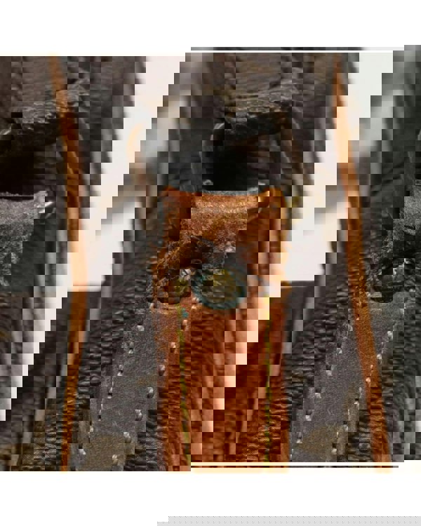 186343325.jpg