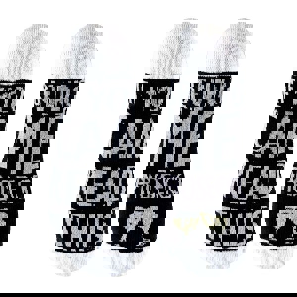 t4option1_2