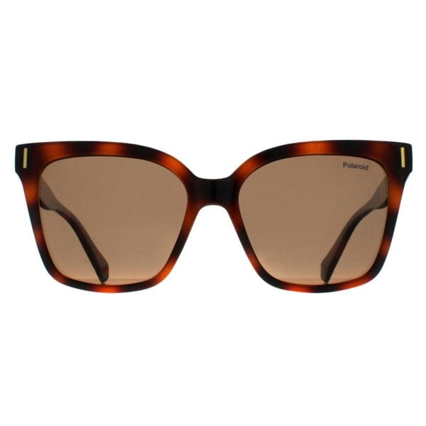 Polaroid Sunglasses PLD 6192/S 086 SP Havana Bronze Polarized