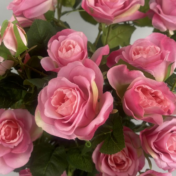 Botanik 60cm Premium Rose Bush Pink Silk Flowers and Leaves