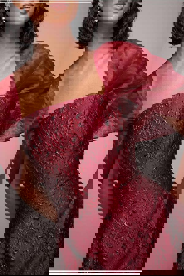 Lace Up Jacquard Mini Dress With Organza Wings - Burgundy Red DR4781