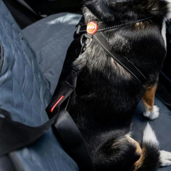 EzyDog Dog Seatbelt Restraint