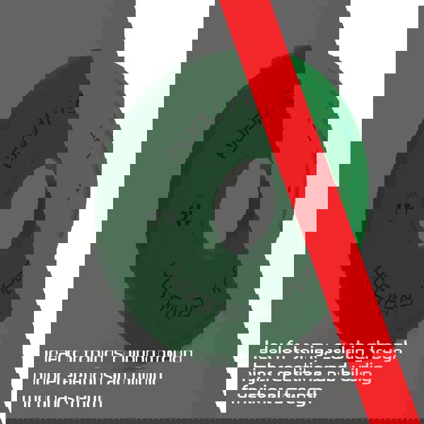 Green 1kg fractional bumper plate with textured surface, designed for toning and functional strength training, featuring clear weight markings