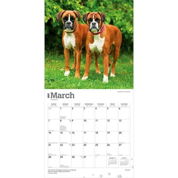 Boxers Calendar 2027, Wall Calendars, Month To View, Dogs, Gift