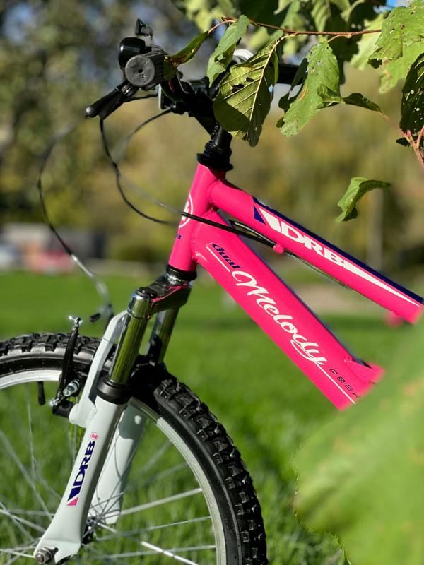 Dallingridge Melody 20" Girls Full Suspension Mountain Bike - Pink/Blue