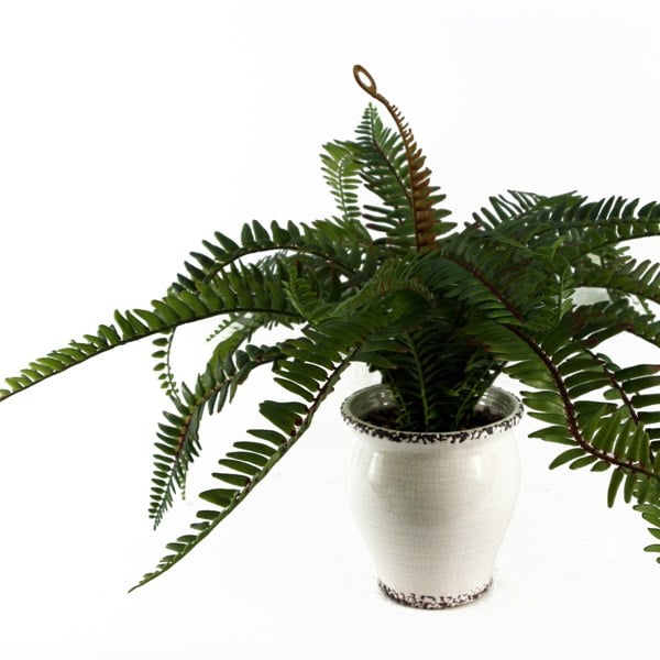 Leaf 40cm Artificial Fern Bush in Decorative Planter