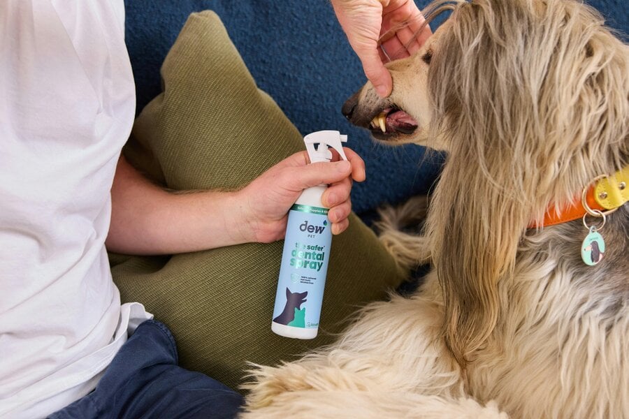 Dew Safer Pet Dental Spray