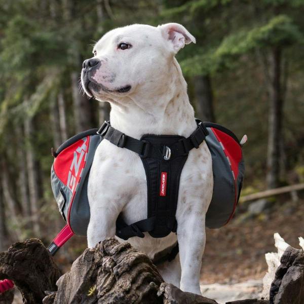 EzyDog Summit 2in1 Backpack and Harnesss