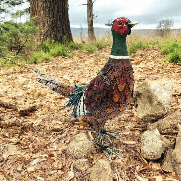 EDH Door Hardware Metal Ring-Necked Pheasant – 50 x 15 x 40 CM | Handcrafted Metal Bird Garden Ornament