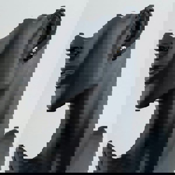 T. H. Baker 9ct Gold 6mm 4 Claw Round Cubic Zirconia Stud Earrings 1.58.4979