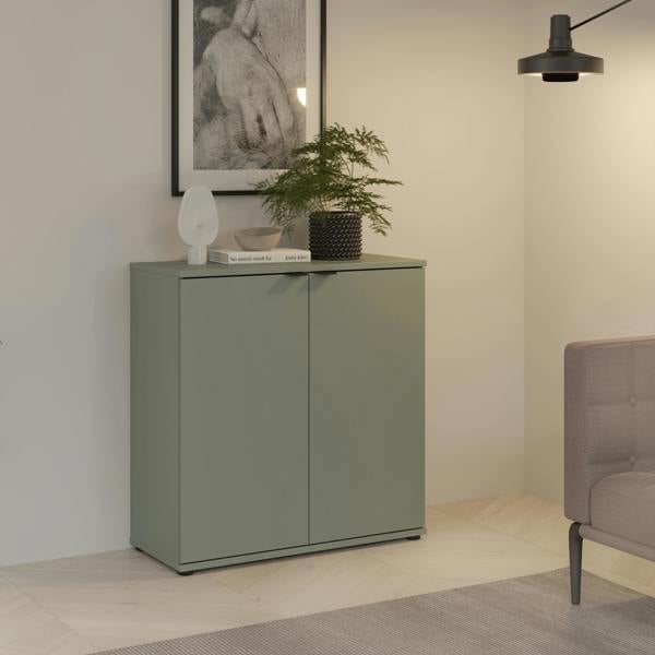 Furniture To Go Ganymede 2 Door Cupboard in Sage Green