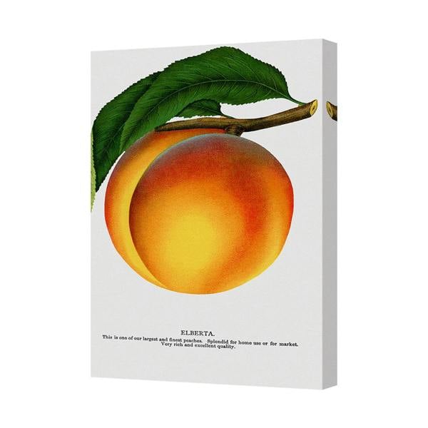 Benjamin Tate Design Elberta Peach Canvas Print With Deep Wooden Frame Wall Art