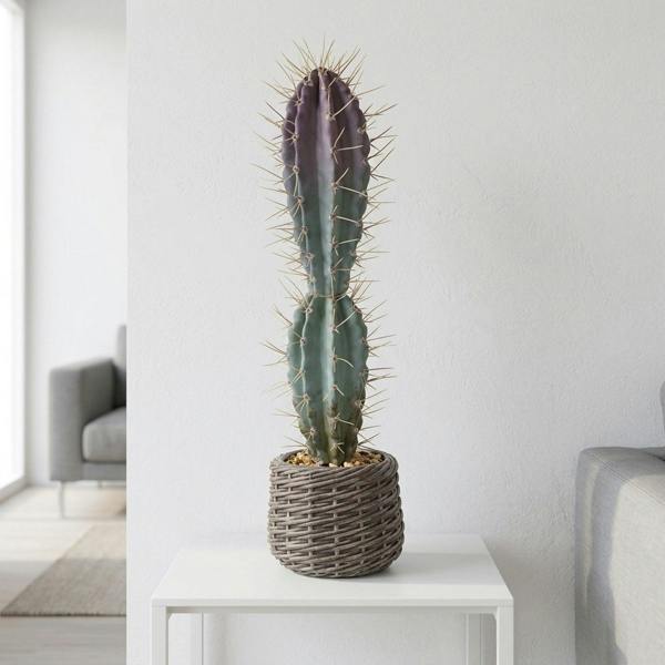 Garden Greatness Artificial cactus in EVA Basket