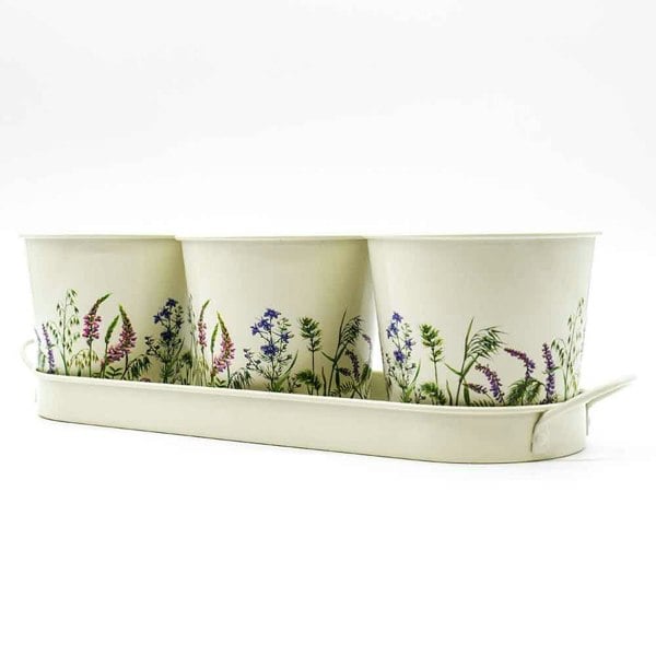 The British Gardening Company Set of 3 Wildflower Design Metal Planters with Tray