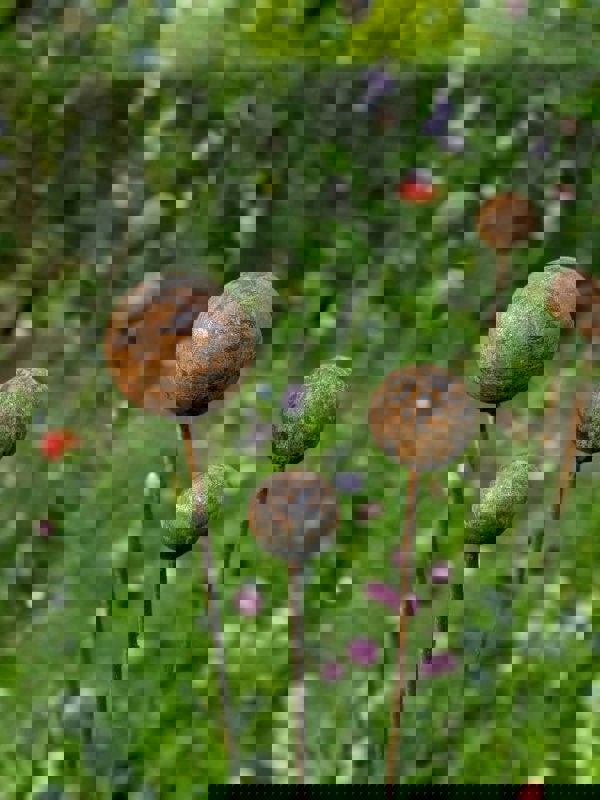 Savage Works Plant Support For Garden