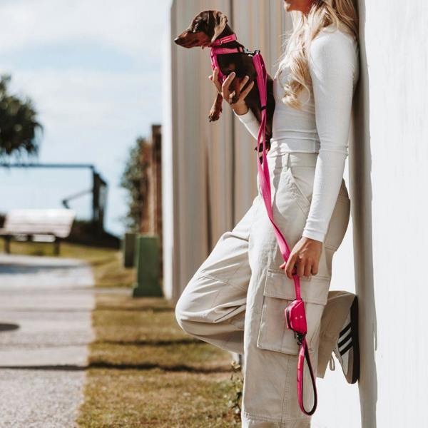 EzyDog Essential Zero Shock Dog Lead in Pink