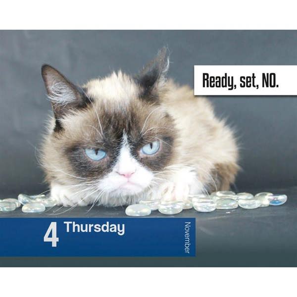 Unbranded Grumpy Cat Desk Calendar 2027, Desk Calendars, Day To View, Humour, Gift