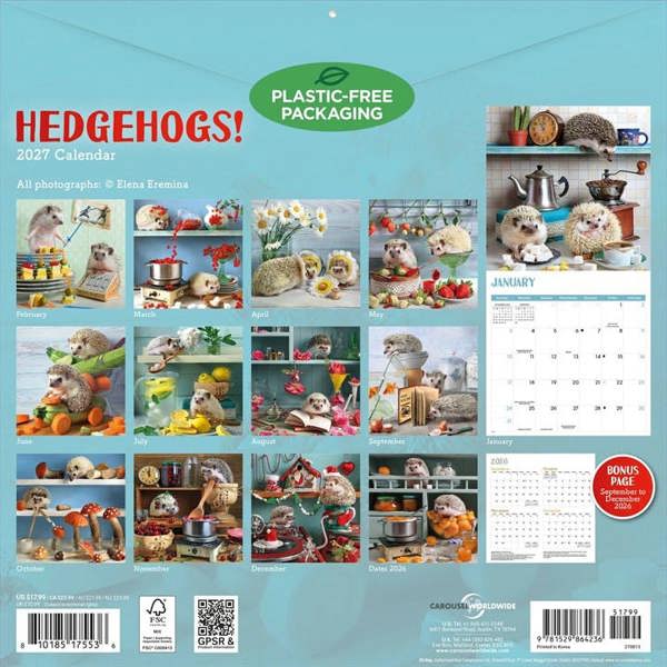 Hedgehogs! Calendar 2027, Wall Calendars, Month To View, Animals, Gift