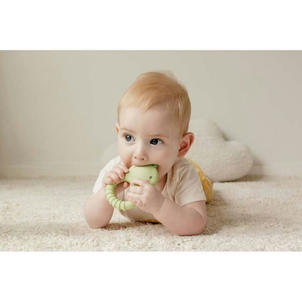 Tiger Tribe Silicone Teether - Dino