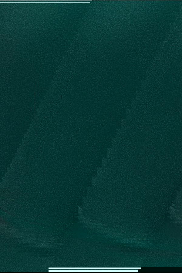 Embellished Diamante Sleeve Bardot Maxi Dress - Emerald Green DR4424