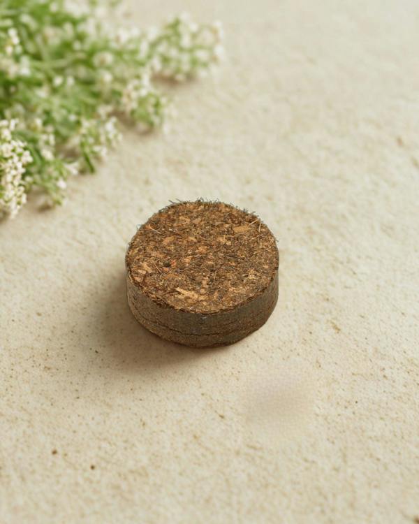 13cm Coir Discs (Pack of 10) | Expands to 20L | Peat-Free Coir Potting Mix