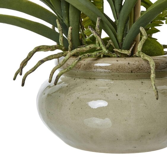 Wyld Haus Artificial Plant White Vanda Orchid Plant In Ceramic Pot