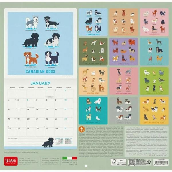 Dogs Of The World Calendar 2027, Wall Calendars, Month To View, Dogs, Gift
