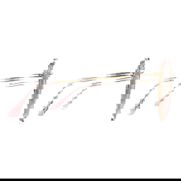 Ray-Ban Sunglasses Round Double Bridge 3647N 9069A5 Pink Pink Gradient Brown