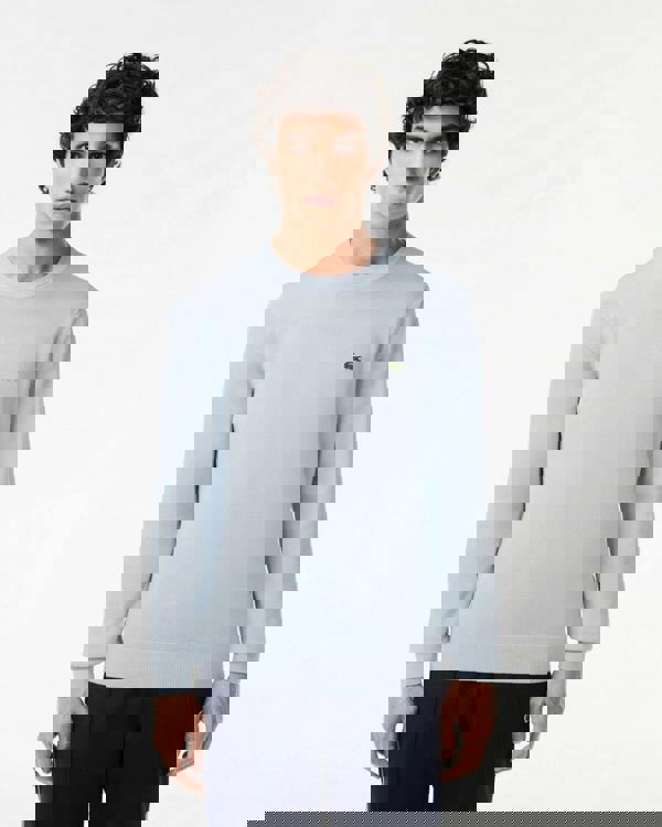 Lacoste Mens Organic Cotton Crew Neck Sweater - Phoenix Blue J2G - CHO - Designer Mens Jumpers