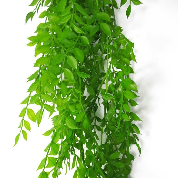 Leaf 100cm Hanging String of Pearls Fern Plant Light Green