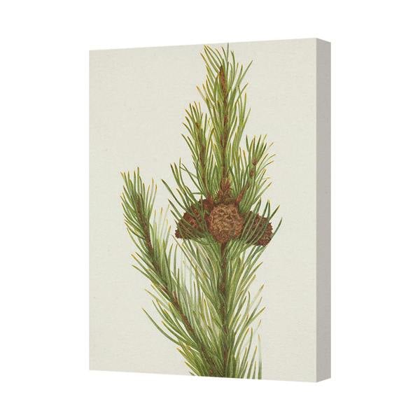 Benjamin Tate Design Pine Branch Canvas Wall Art With Pine Cones Rustic Botanical Decor