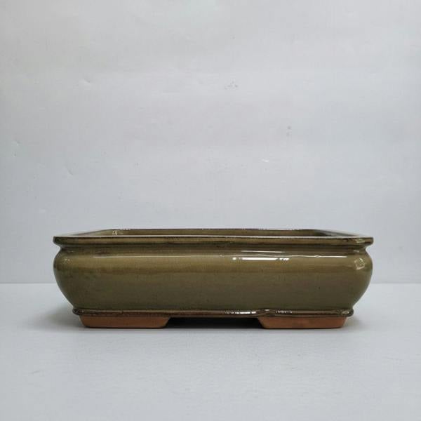 Yorkshire Bonsai 37cm Glazed Bonsai Pot | Rectangle | 37cm x 30cm x 11cm | Olive Green