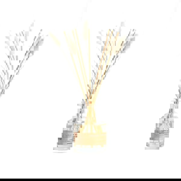 CAHM Oakmoss & Amber Reed Diffuser - Clear