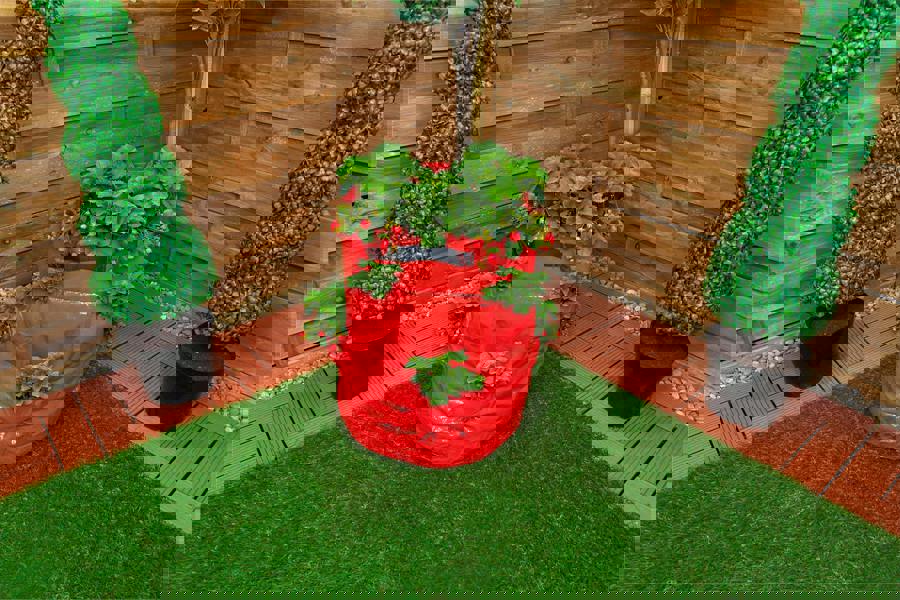 St Helens Home and Garden Strawberry Grow Bag 43L