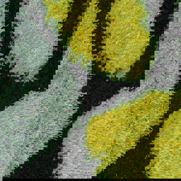 Home Republic Pebbles Shaggy Rug - 60 x 110