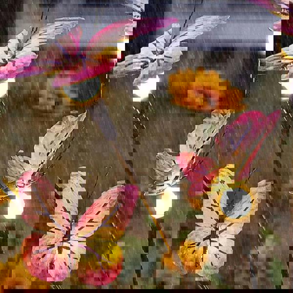 Leaper Solar Butterfly & Firefly Garden Ground Lights