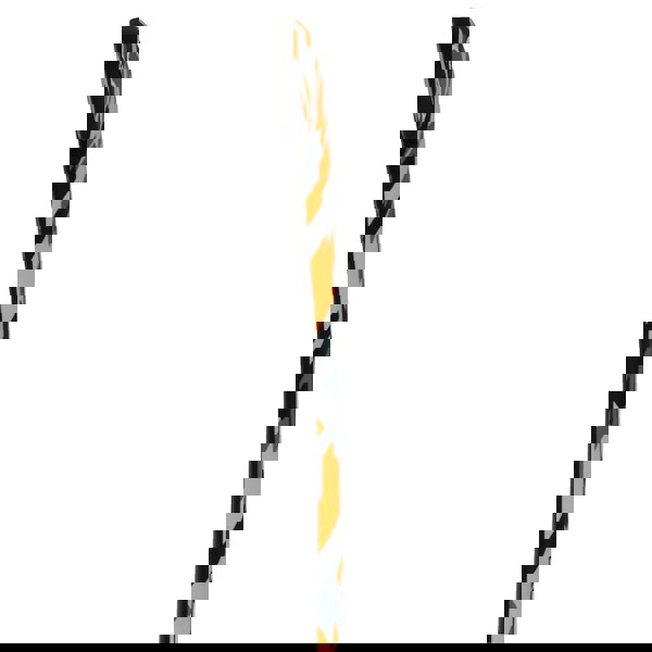 BYTE TS250 Hockey Stick