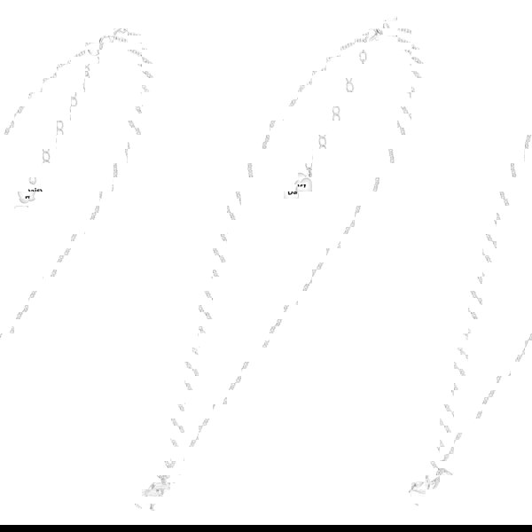 Dachshund Silver Necklace - Personalised - MYLEE London